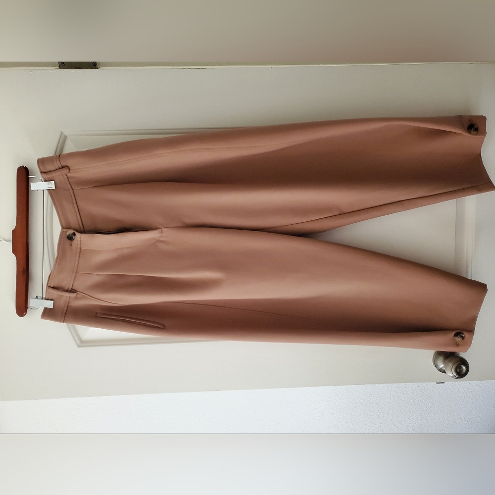 Zara pants